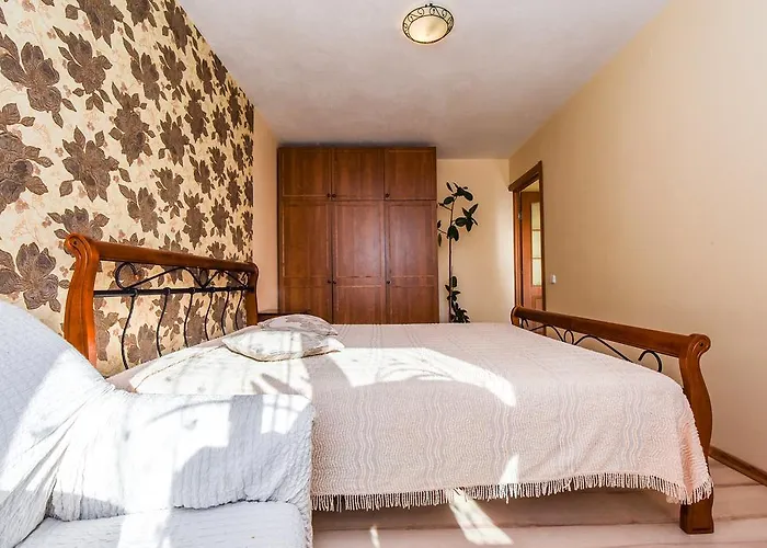 Butas Neriesapartment No.3 With Terrace In Centrum *